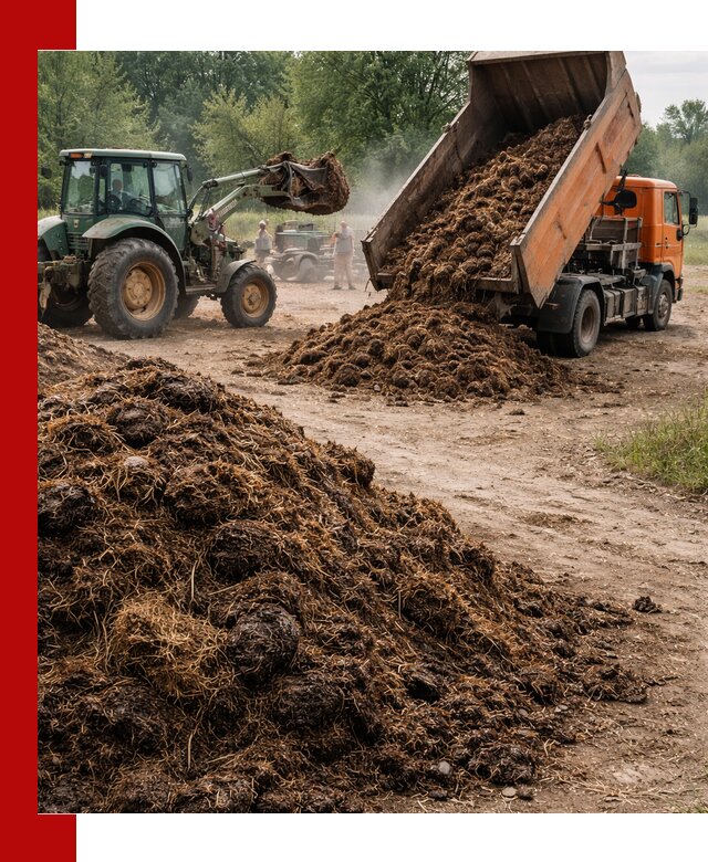 Доставка навоза самосвалами в Аксае для сельхозпотребностей