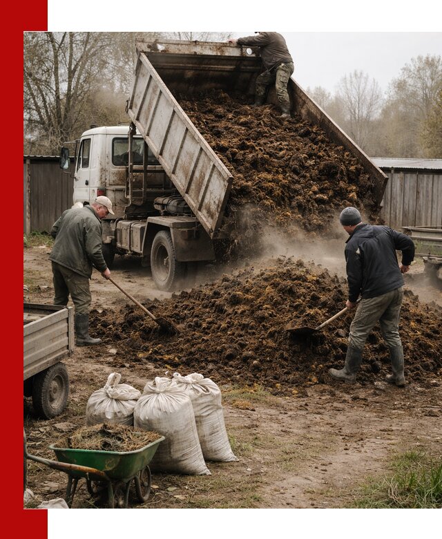 Доставка коровьего навоза самосвалом в Аксае